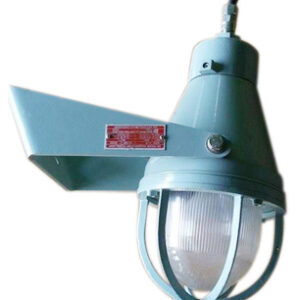 Nautical Fox Lights
